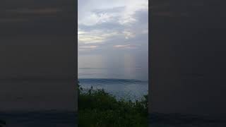 Download Lagu SENJA TAI ANJING || STORY WA 30 DETIK MP3