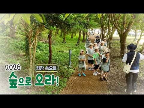 탐나는 제주 현장속으로 [ 2026 숲으로 오라! ] | KBS제주 20260701방송