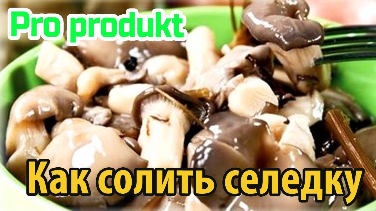 Как хранить вешенки