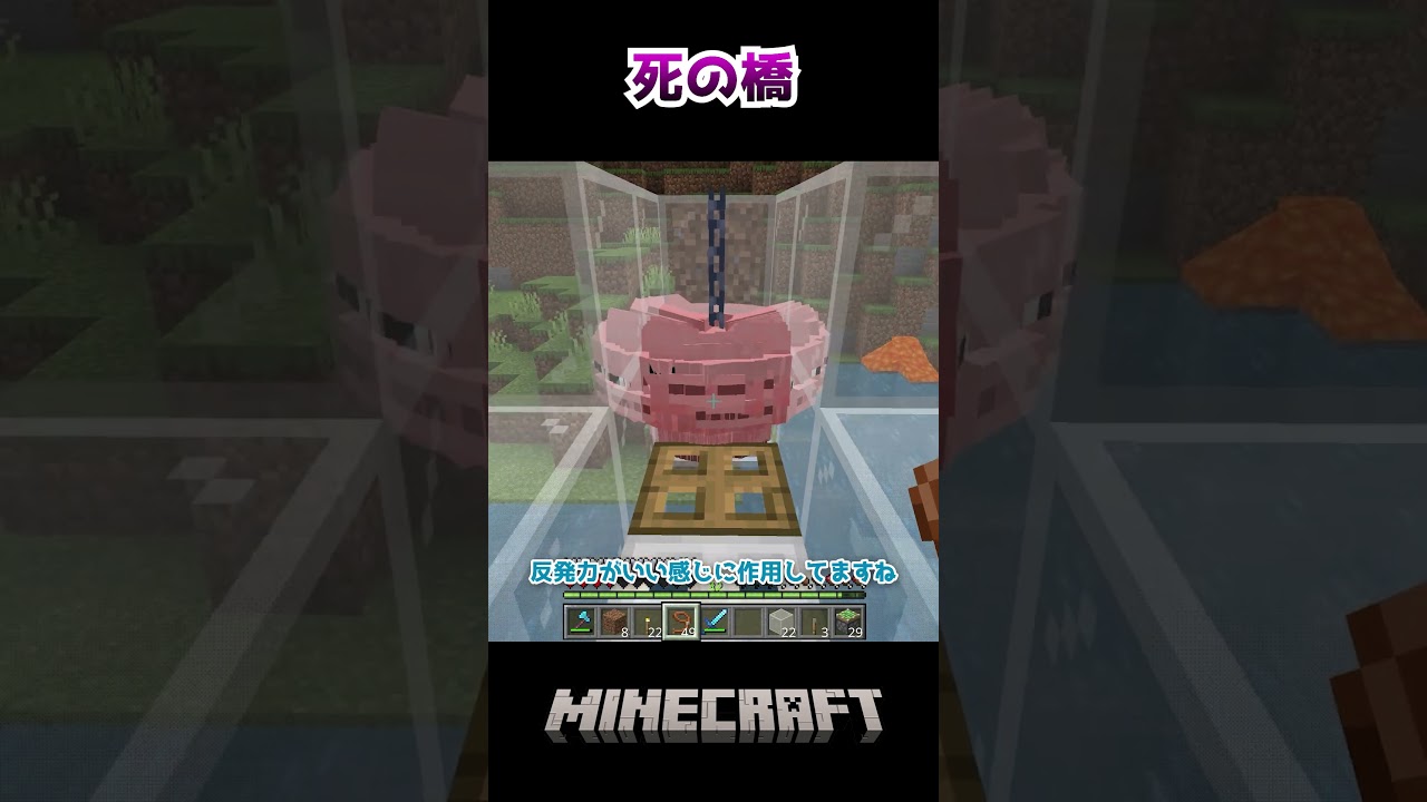 タヒの橋 #マイクラ #minecraft