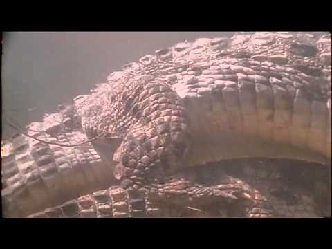 Muggers Of Spice Island / Quest For The Mugger Crocodile