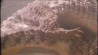 Muggers Of Spice Island / Quest For The Mugger Crocodile