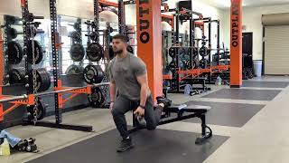 RFE Split Squat (Drop)