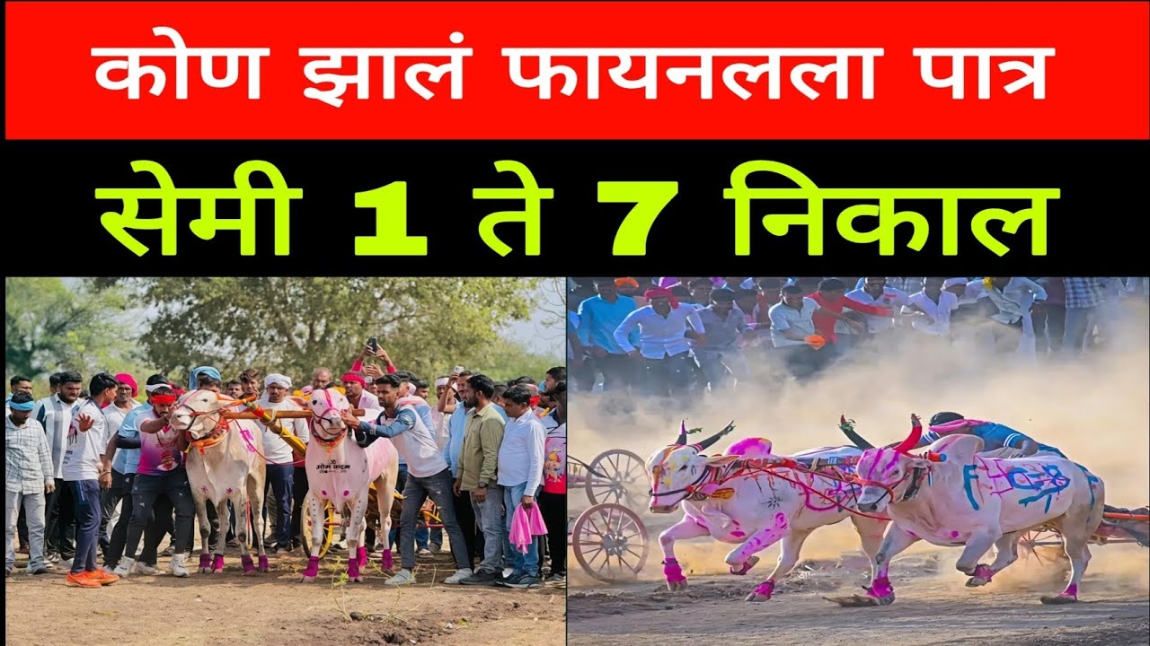 आज वडकी येथे चालू असलेल्या सेमी फायनल मध्ये कोणते बैल फायनल गुलालासाठी पात्र झाले 