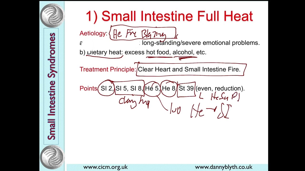 Small Intestine Syndromes in Traditional Chinese Medicine