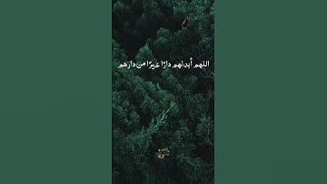 اكتب ما تؤجر عليه،وشارك الأجر🤍🌿#دعاء #الله #القرآن_الكريم #اسلام #محمدﷺ #تلاوات #الصلاة #صبر #القدس