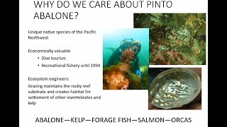 The Future of Oceans Lecture Series - Josh Bouma, Recovering Pinto Abalone