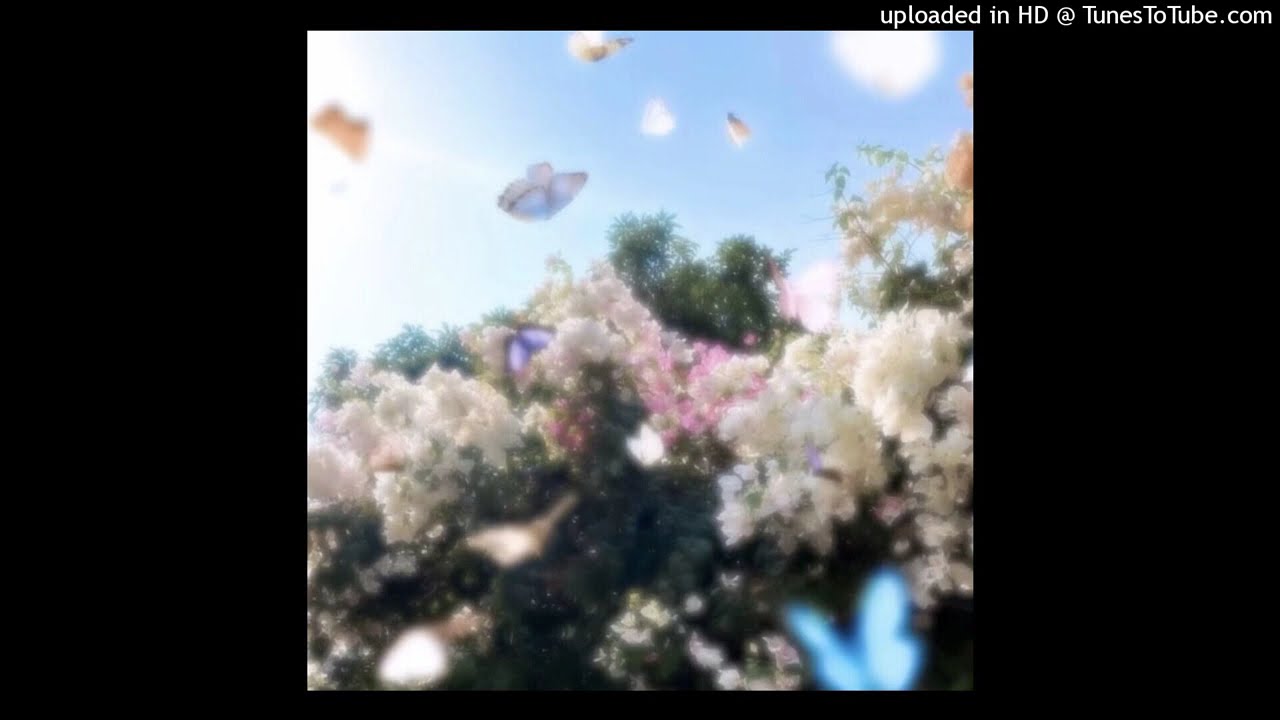 ginseng misogi skai type beat - lost