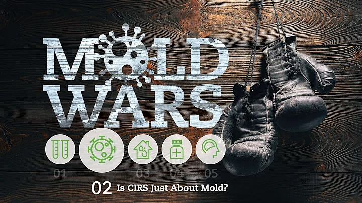 Chronic Inflammatory Response Syndrome: Is mold really the issue?