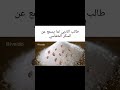 لما طالب الأدبي يسمع عن