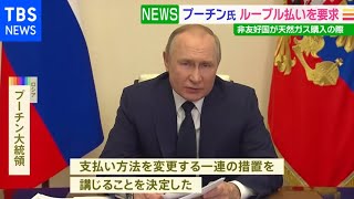 「天然ガス購入するならロシア通貨ルーブルでの支払いを」プーチン大統領、日本含む「非友好国」に要求 外貨獲得し相場支える狙いか