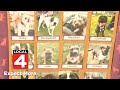 Bark on Biddle, a look at a dog you could adopt or foster