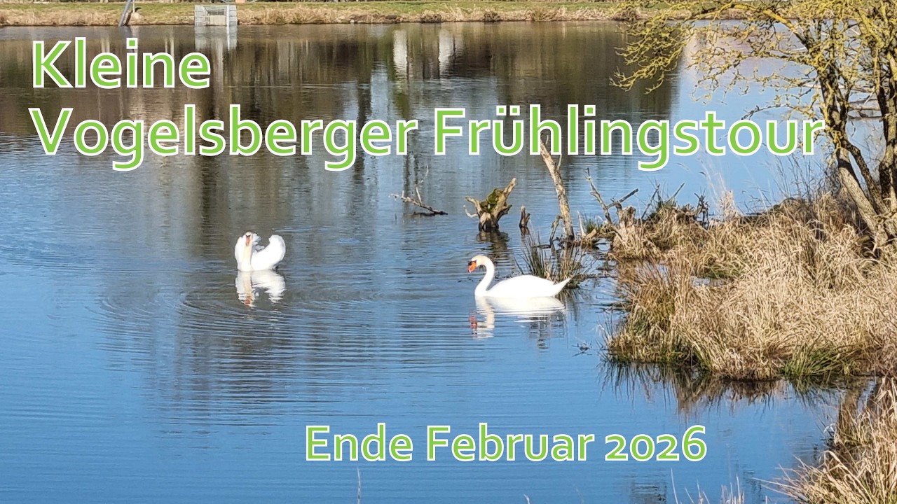 Kleine Vogelsberger Frühlingstour Ende Februar 2026