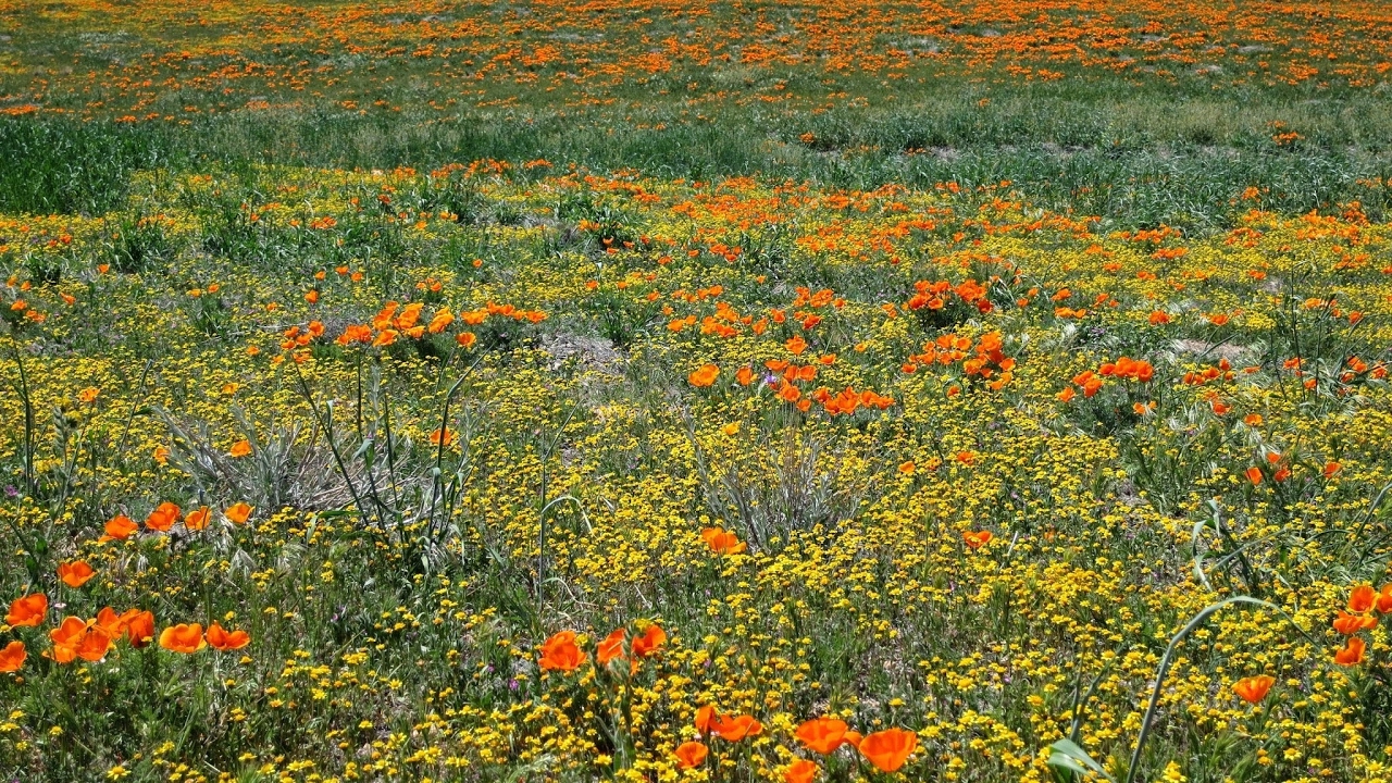 jesus maria JESUS CRISTO ESPERANZA VIVA DE SALVACION! Oct 27 2018