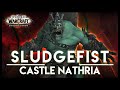 Castle Nathria 08 - Normal Sludgefist - Ret Paladin Pov - 06/23/2021