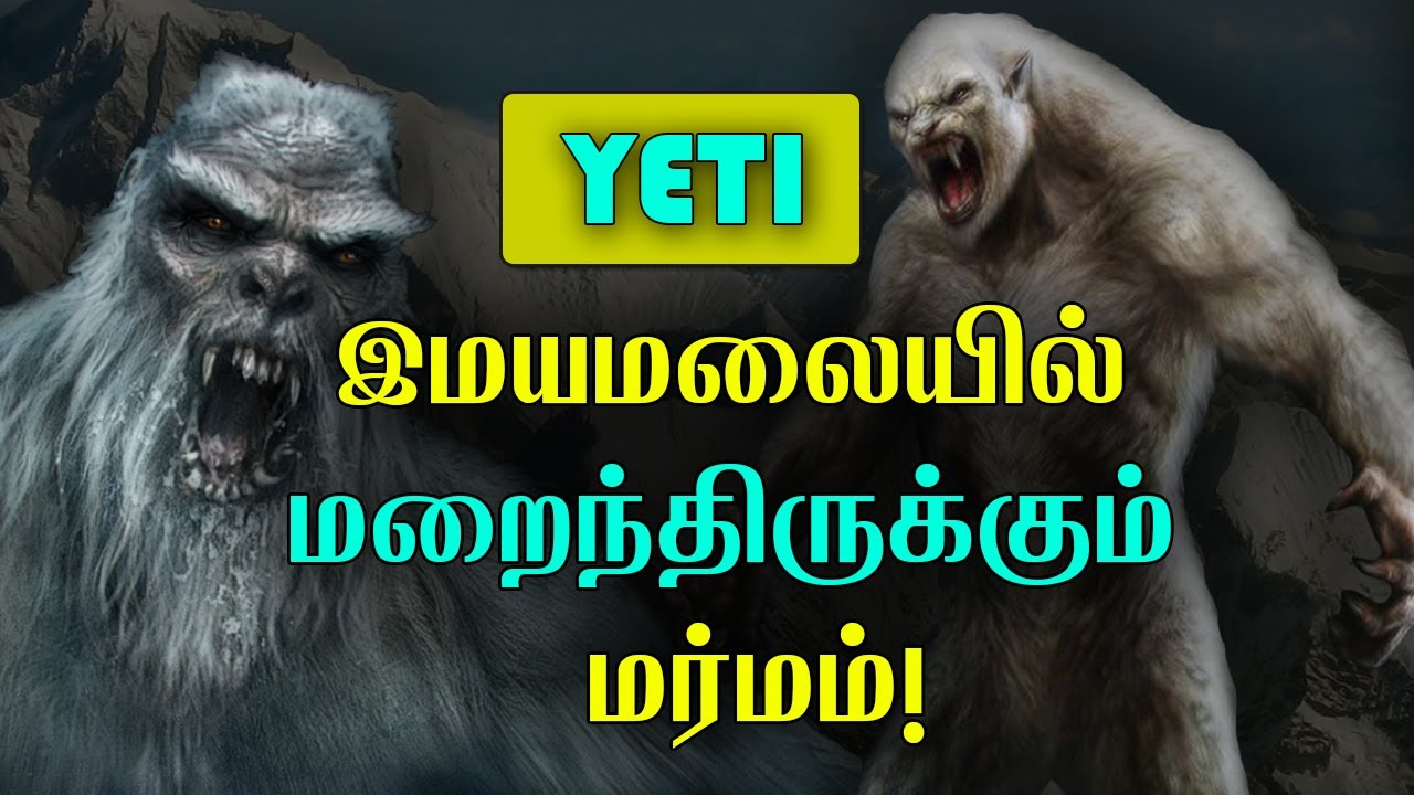 Does the Yeti Really Exist! Scientist Found the Evidence to Solve this