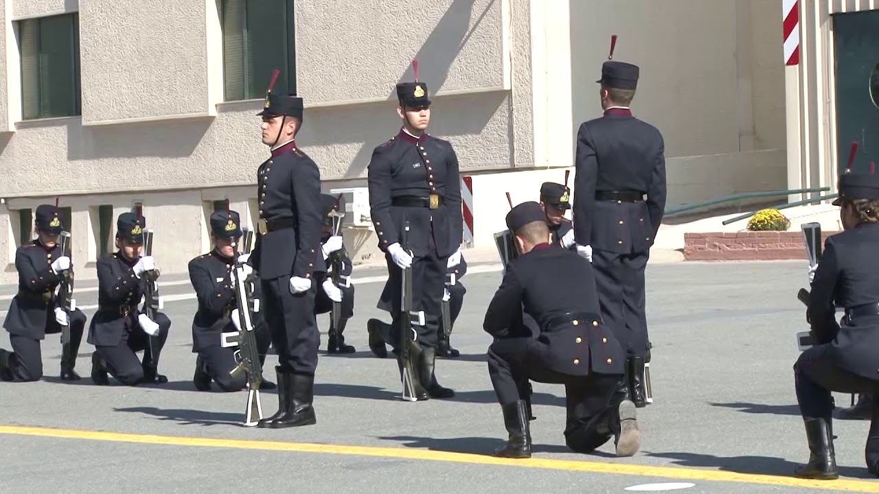 ΣΣΑΣ ΔΡΙΑ ΕΠΙΔΕΙΞΕΩΝ 2017