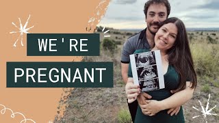 We're Pregnant! Our Story | Baby Announcement