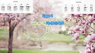 Pieces of April by Three Dog Night play along with scrolling guitar chords and lyrics