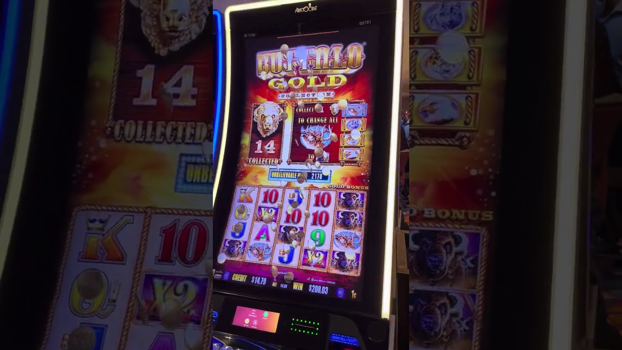 15 ГОЛОВ БУФАЛУ ...