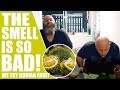 (WARNING! NOT FOR A WEAK STOMACH) - DO NOT EAT DURIAN FRUIT!!
