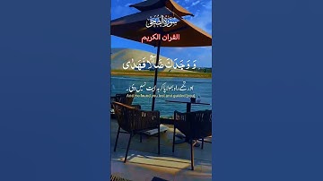 سورة الضحى #اكسبلور #رب #الله #دويتو #explore #قطط #تيك_توك #سبحانالله