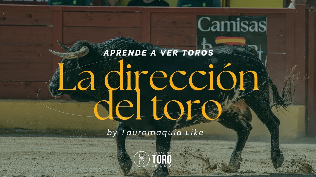 Направление быка | НАУЧИТЕСЬ ВИДЕТЬ БЫКОВ от Tauromaquia Нравится