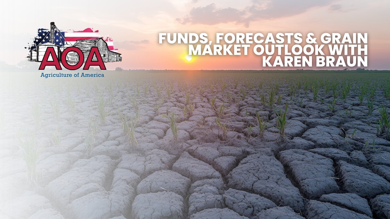 Funds, Forecasts & Grain Market Outlook | Karen Braun, Zaner Ag Hedge
