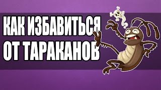 Как Избавиться от Тараканов