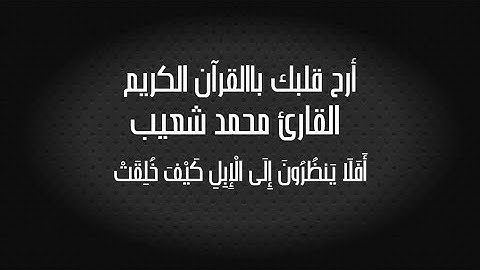 أَفَلَا يَنظُرُونَ إِلَى الْإِبِلِ كَيْفَ خُلِقَتْ القارئ محمد شعيب|تلاوة خاشعة|أسمع القرآن|أرح قلبك
