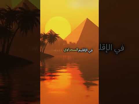 نتائج موقع مصر الفلكي خامسه اإبتدائي أهم النتائج ترم أول الدراسات الإجتماعية طريق التفوق