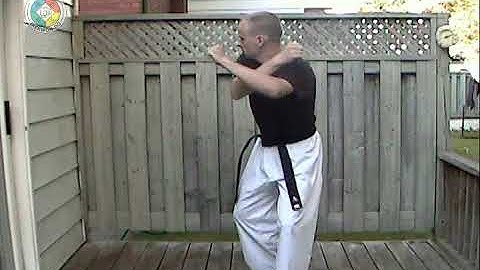Taekwondo: Hapkido: Foundations: Jumping back-fist side strike and low block (front view)
