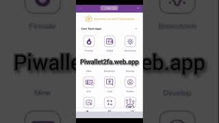 How to secure your pi wallet from being hacked online