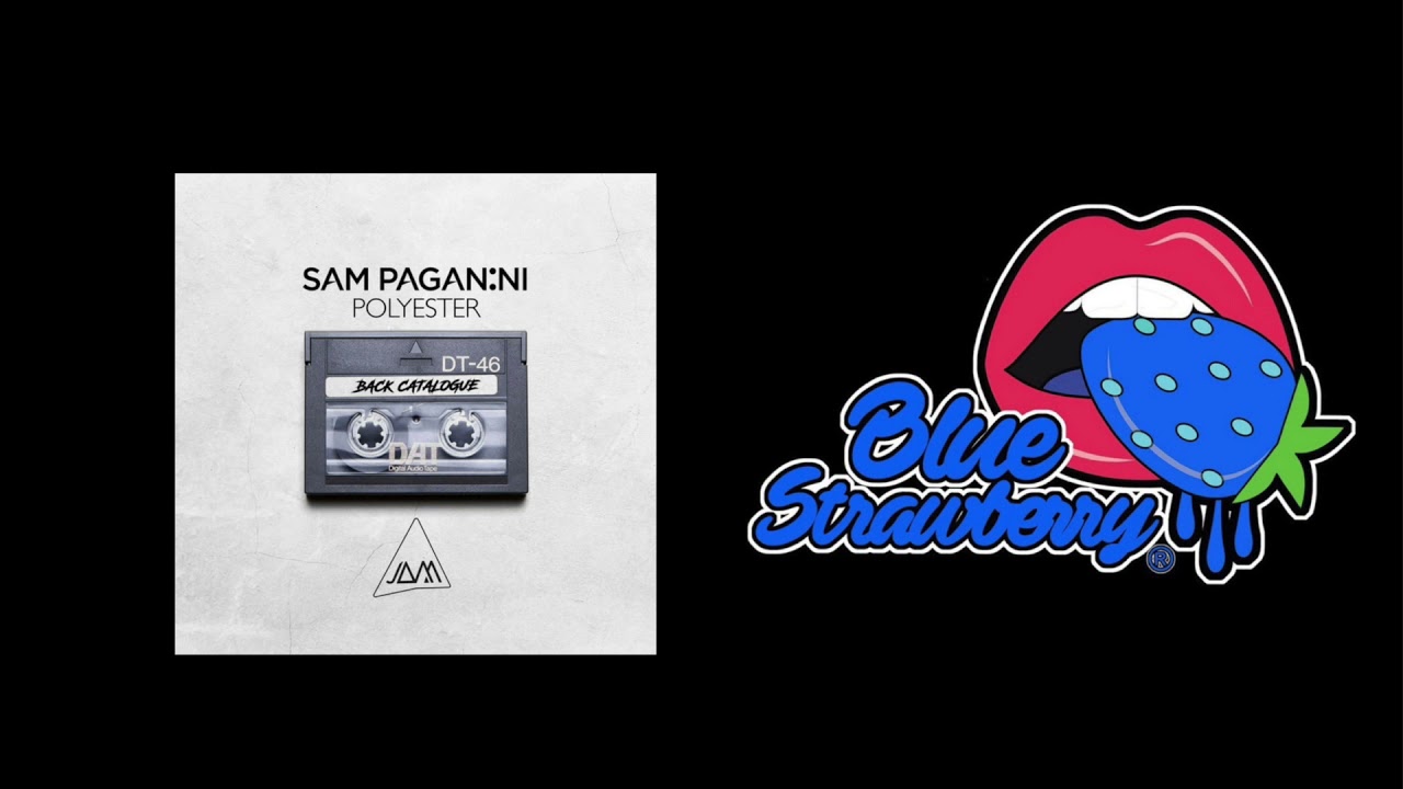 Sam Paganini - Polyester (Original Mix)