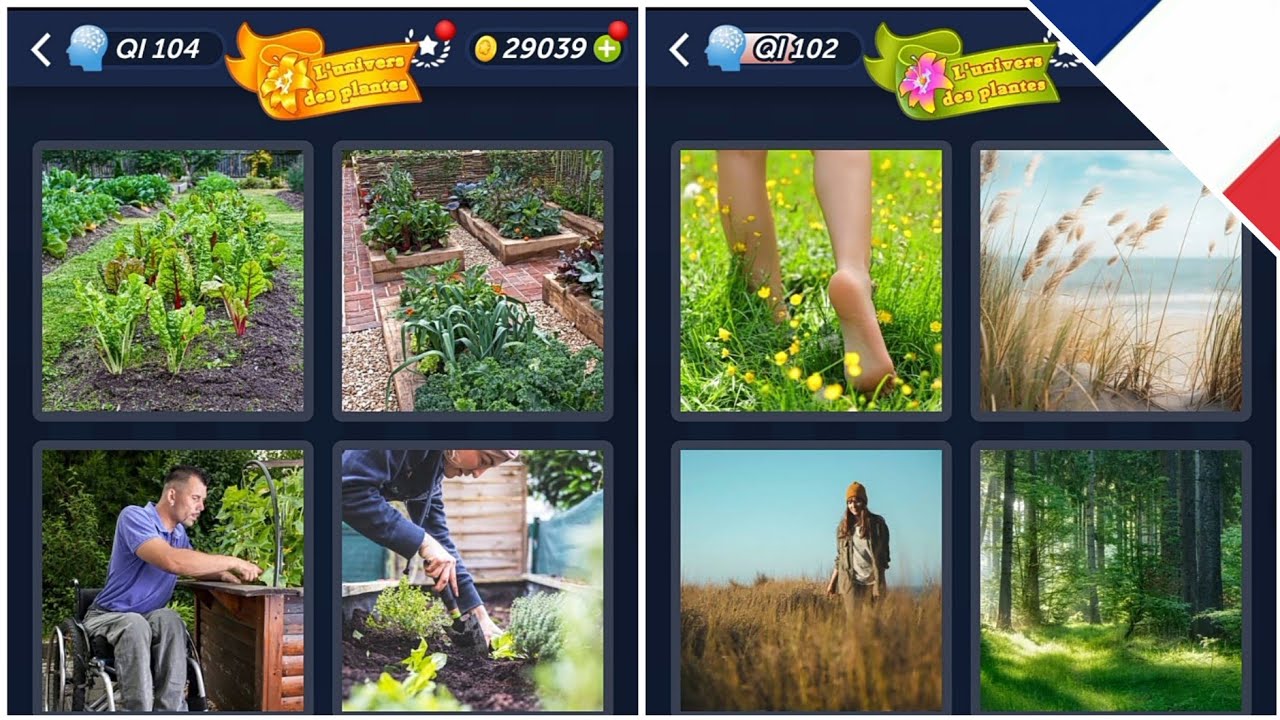 4 Images 1 Mot L Univers Des Plantes