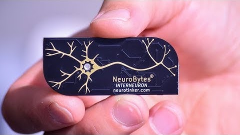 Electronic Neuron Simulators !!!