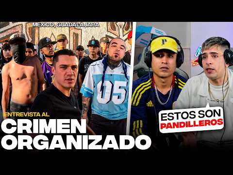WE REACT to the INTERVIEW with MEXICAN ORGANIZED CRIME 🇲🇽 • MDS CLIPS
