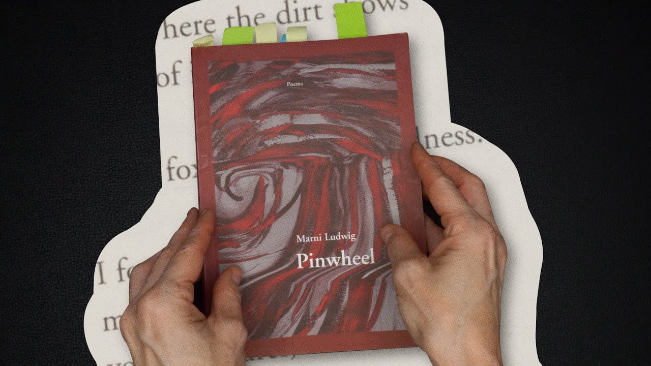 Cynthia Cruz reads “Expert on Shadows”