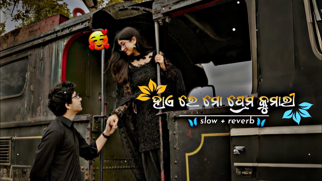 Hay Re Mo Raja Kumari 🌿 Odia Romantic Lofi Song in slow and reverb 🌿 #song #lofimusic