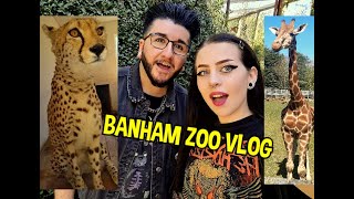 Banham Zoo Vlog