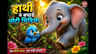 Haaathi Ne Tiny Bird Ki Madad Ki !!