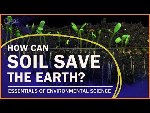 The Importance of Soil  | Essentials of Environmental Science