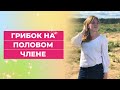 Грибок на  половом члене. Откуда появляется. Что делать?