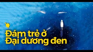 Rồi ai sẽ ở lại, cạnh đám trẻ ở đại dương đen