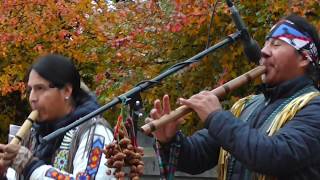 Video voorbeeld van "Hermoso rio Huaycheno. Индейцы Inty (Pakarina), Rumi (Ecuador Indians) and Roberto (Amer Inkas)."