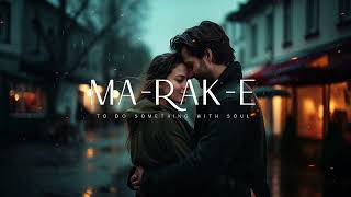 VE HAANIYAAN (SLOWED & REVERB) | DANNY | AVVY SRA | MERAKI