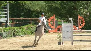 NARNI 3 DOM C115 MISTA T409 FERNHILL SUMMERTIME CRISTOFARO LUCA ITA 39