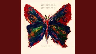Transformation Four