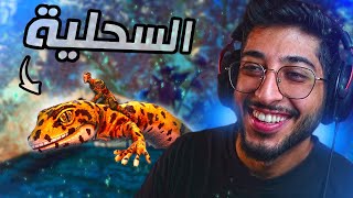 ترويض السحلية جلاد الحشرات عالم الحشرات
