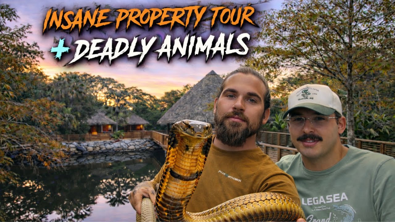 1 MILLION DOLLAR REPTILE FARM